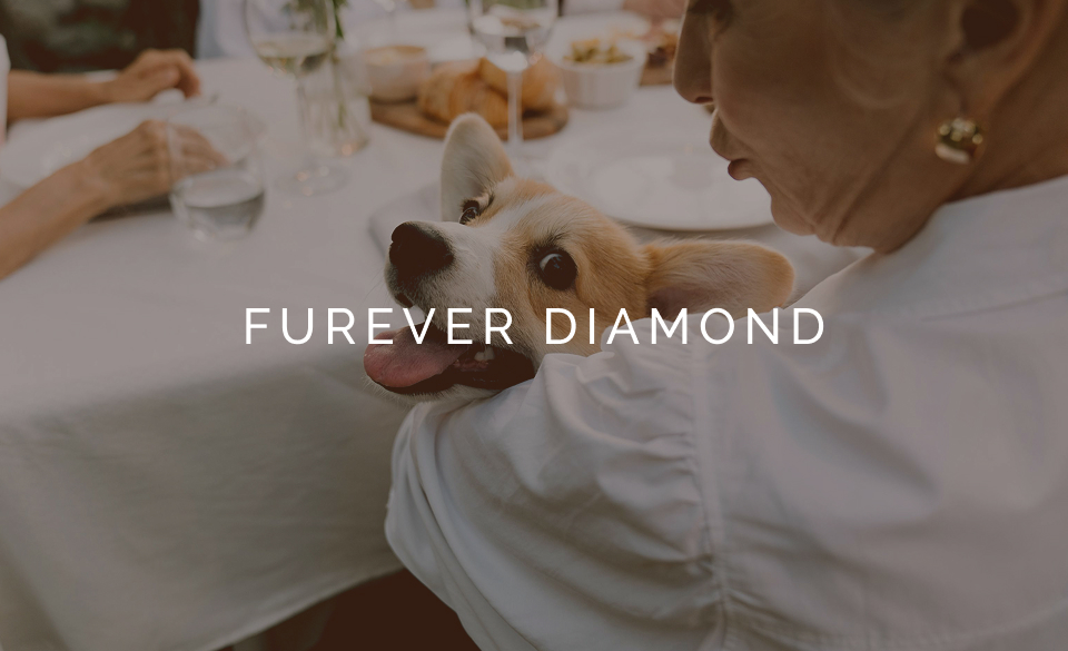Furever Diamond brand preview